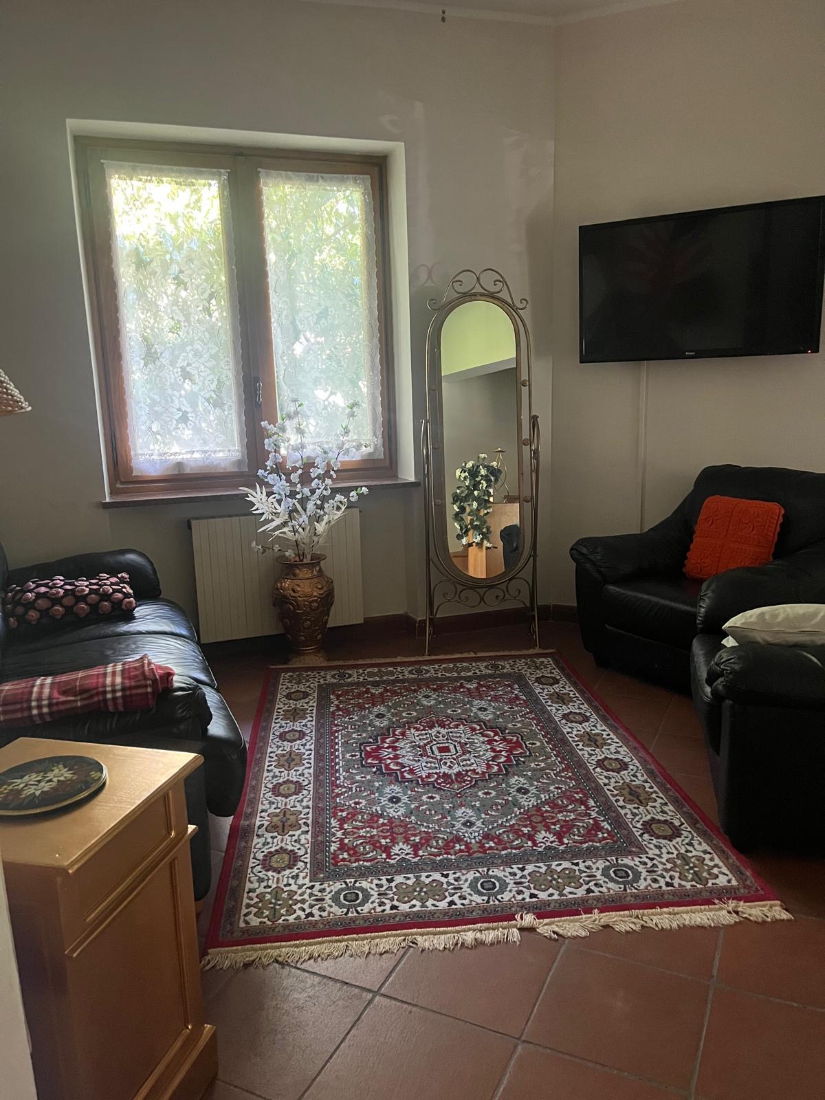 Salotto con tappeto persiano, specchiera e televisore